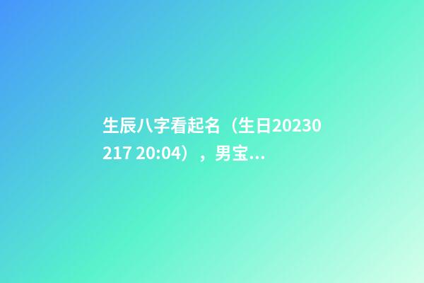 生辰八字看起名（生日2023.02.17 20:04），男宝宝 籍姓